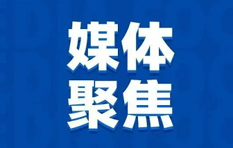 媒體聚焦 | “地瓜經(jīng)濟(jì)”為什么能贏？海亮股份是這樣做的