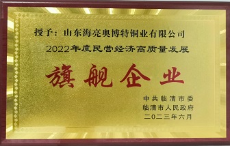 牛！山東海亮榮獲“2022年度民營(yíng)經(jīng)濟(jì)高質(zhì)量發(fā)展旗艦企業(yè)”稱(chēng)號(hào)